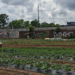 Abbey Fields Farm