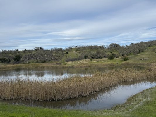 Foothill Regional Park by null