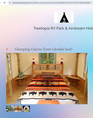 Treetopia Airstream Hotel and RV Campground by null