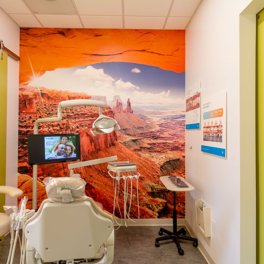 Top 10 Best Dentist No Insurance in Tucson, AZ Last Updated August