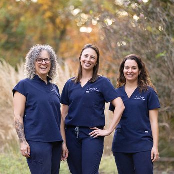 Senior Pet Vet - Pet Hospice Near Me