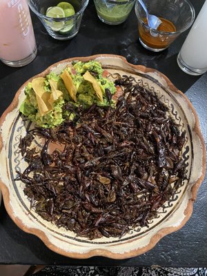 La Casa de Los Tacos Coyoacán by null