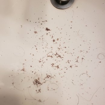 New Beginning Salon Spa - Hair Salons Near Me - Hillsboro, Oregon