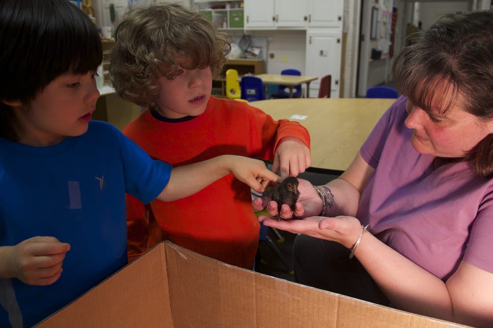 First Church Academy - childcare center in West Hartford, CT