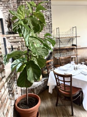 Umberto's Of New Hyde Park by null