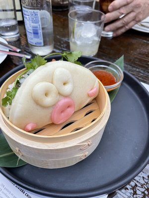 Camino Riviera by null