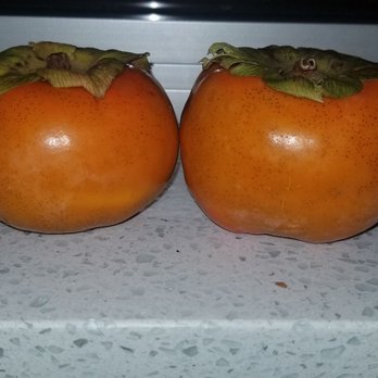 Perfect Persimmons - Perfect persimmons - Pick Your Own Farms Near Me - Monticello, Florida Perfect Persimmons - Perfect persimmons - Pick Your Own Farms Near Me - Monticello, Florida