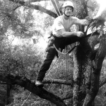 U-SaveMore Tree Service - Tree Services Near Me - Conyers, Georgia