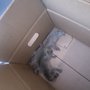 Photo of All Star Animal Trapping