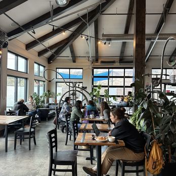 Coffeebar - Great light in the main room! - Coffee & Tea Near Me - Reno, Nevada