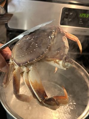 Hashi Market by null