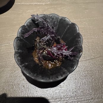 Sauvage - Lamb Neck Mole - New American Near Me - Dallas, Texas