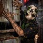 The Haunt