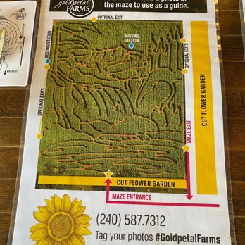 Goldpetal Farms - Nurseries & Gardening Near Me - Chaptico, Maryland