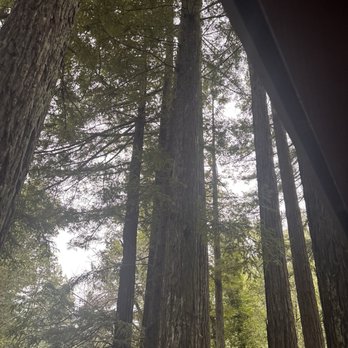 Miranda Gardens Resort - Back deck view - Resorts Near Me - Miranda, California