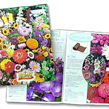 HJ Design - Catalog Design and Printing - Here at HJ Design, we are a unique collection of graphic communications specialists with a rem... - Web Design Near Me - Pleasant Valley, Missouri HJ Design - Catalog Design and Printing - Here at HJ Design, we are a unique collection of graphic communications specialists with a rem... - Web Design Near Me - Pleasant Valley, Missouri