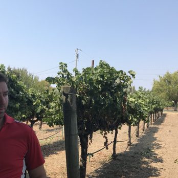 Peter Cellars - Laid back - Wine Tasting Room Near Me - Sonoma, California
