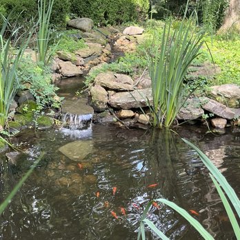 Old Caledonian Bed & Breakfast - Koi pond - Bed & Breakfast Near Me - Caledonia, Missouri Old Caledonian Bed & Breakfast - Koi pond - Bed & Breakfast Near Me - Caledonia, Missouri
