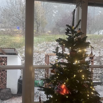 Ferncrest Christmas Tree Farm - Our tree - Christmas Trees Near Me - Longview, Washington