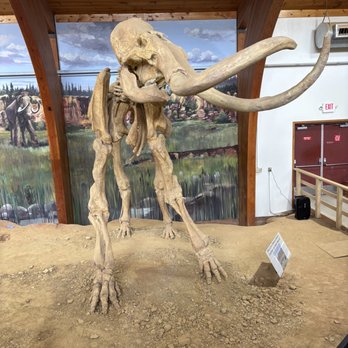 The Mammoth Site - Mammath - Museums Near Me - Hot Springs, South Dakota The Mammoth Site - Mammath - Museums Near Me - Hot Springs, South Dakota