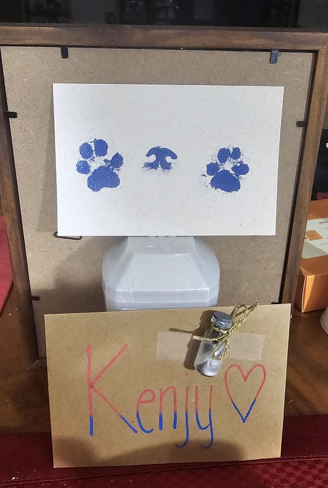 Hill Top Animal Hospital