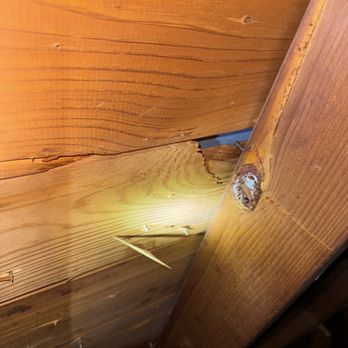 Qualis Roofing & Construction - Hole in decking - General Contractors Near Me - Aledo, Texas Qualis Roofing & Construction - Hole in decking - General Contractors Near Me - Aledo, Texas