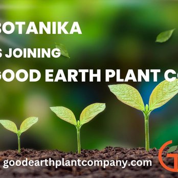 Botanika Interior Plantscapes - Indoor Landscaping Near Me Botanika Interior Plantscapes - Indoor Landscaping Near Me