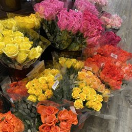Roses galore