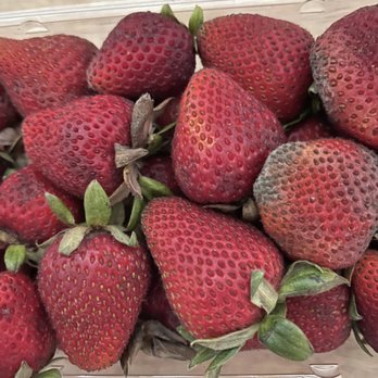 Alameda Natural Grocery - Molded in fridge within 1 day of purchase. - Health Markets Near Me - Alameda, California Alameda Natural Grocery - Molded in fridge within 1 day of purchase. - Health Markets Near Me - Alameda, California