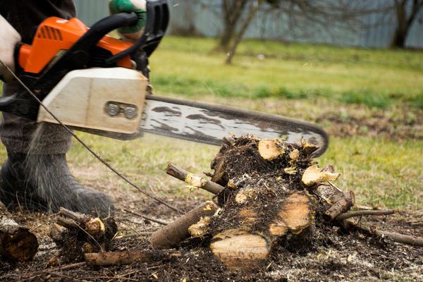 Turner Tree Service on Yelp