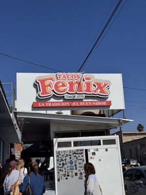 Tacos Fenix (Fish & Shrimp) by null