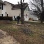 Photo of Felix's Lawn and Landscapes