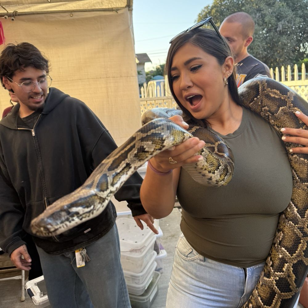 Reptile Rascals - Reptile Shops Near Me Reptile Rascals - Reptile Shops Near Me