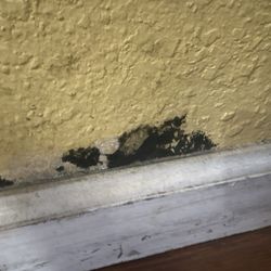 Economy Inn - Mold