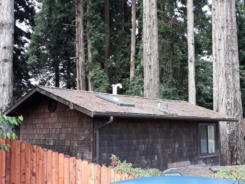 Slide of Corradini LLC Roof Restoration & Exteriors