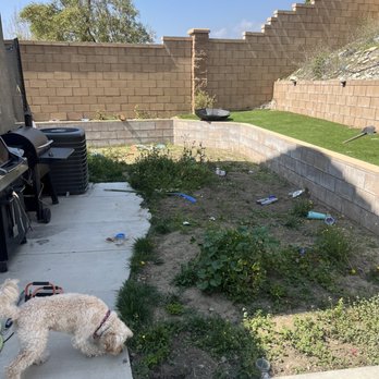 RP Synthetic Turf - Before (scary!) - Artificial Turf Near Me - Fontana, California RP Synthetic Turf - Before (scary!) - Artificial Turf Near Me - Fontana, California