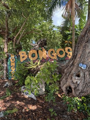 Bongo's Botanical Beer Garden and Cafe by null