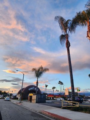 The Donut Hole by null