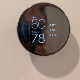 New Nest! New Nest!