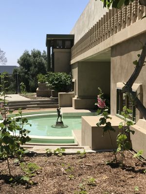 Hollyhock House by null