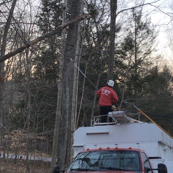All American Tree Care - Tree Services Near Me - Coventry, Connecticut