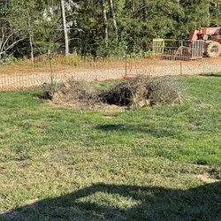 Total Tree and Landscaping - Trees and branches not removed