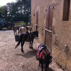 Club de Poney des 3 Collines