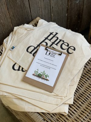 Three Blue Ducks, Rosebery by null