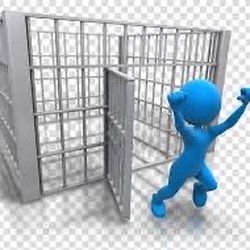 Triangle Bail Bonds