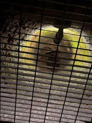 Museo Faggiano by null