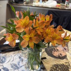 Sutter Roseville Hospice Thrift Store