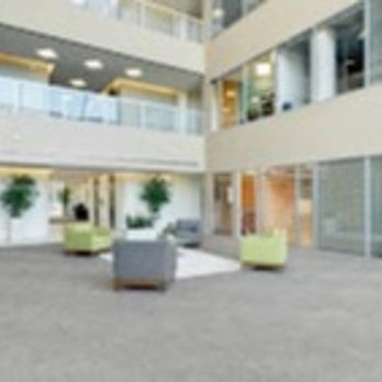 Today CFO - Today CFO's new, inspiring and inviting headquarters lobby with lots of light designed by architect Frank Packard in Houston, Texas. - Accountants Near Me - Houston, Texas Today CFO - Today CFO's new, inspiring and inviting headquarters lobby with lots of light designed by architect Frank Packard in Houston, Texas. - Accountants Near Me - Houston, Texas