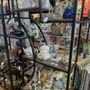 Cotton's Antique Emporium