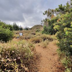 El Modena Open Space